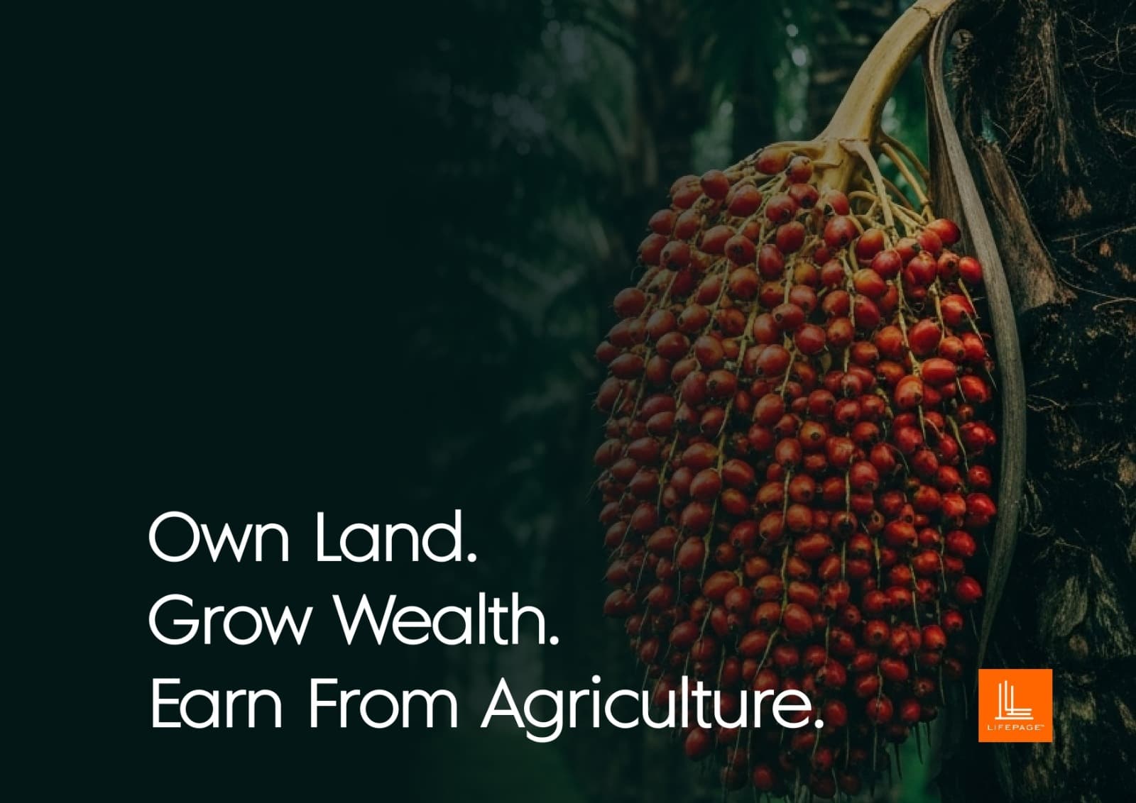 PalmVille - District 1 Launch Offer (Hectare)