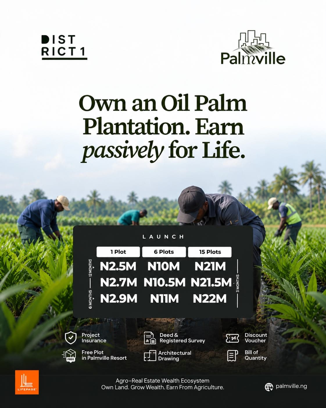 PalmVille - District 1 Launch Offer (Acre)